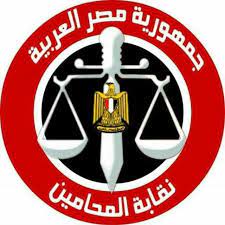 Egyptian lawyer Association